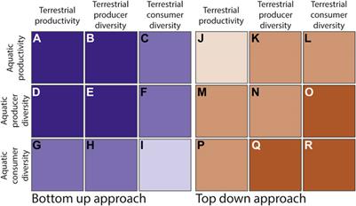 Linking Terrestrial and Aquatic Biodiversity to Ecosystem Function Across Scales, Trophic Levels, and Realms